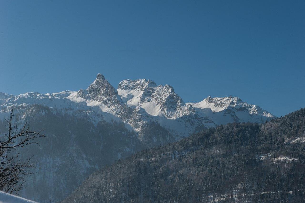 Appartement Haus Sonnblick à Abtenau Extérieur photo